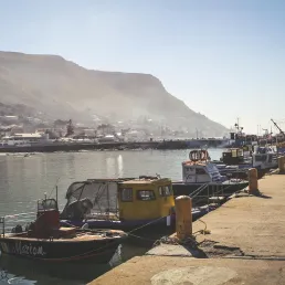 Lonely Life at the Baltimore